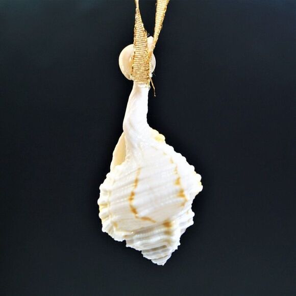 Vintage Conch Seashell Christmas Ornament Ocean Nature Nautical - Picture 2 of 8
